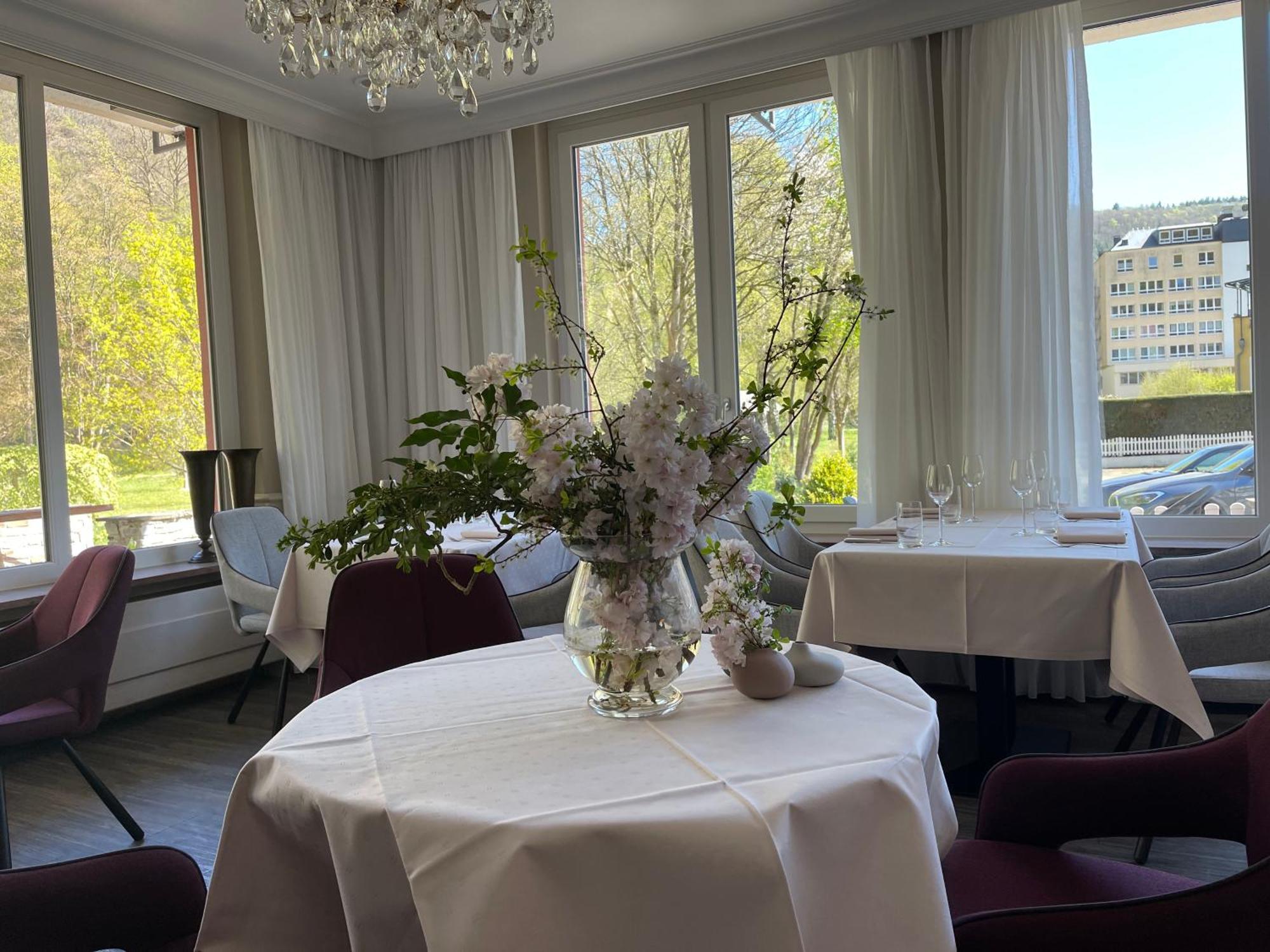 Hotel Alte Muehle Bad Bertrich Exteriér fotografie